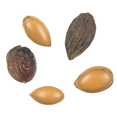 Fruits secs et noix d'argan, vus de dessus