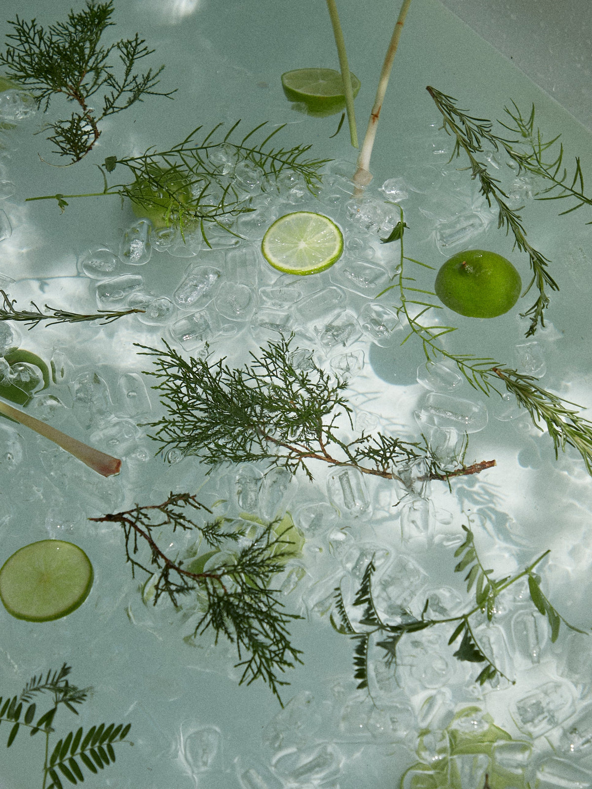 Eau de bain parsemée de branches vertes et de rondelles de lime