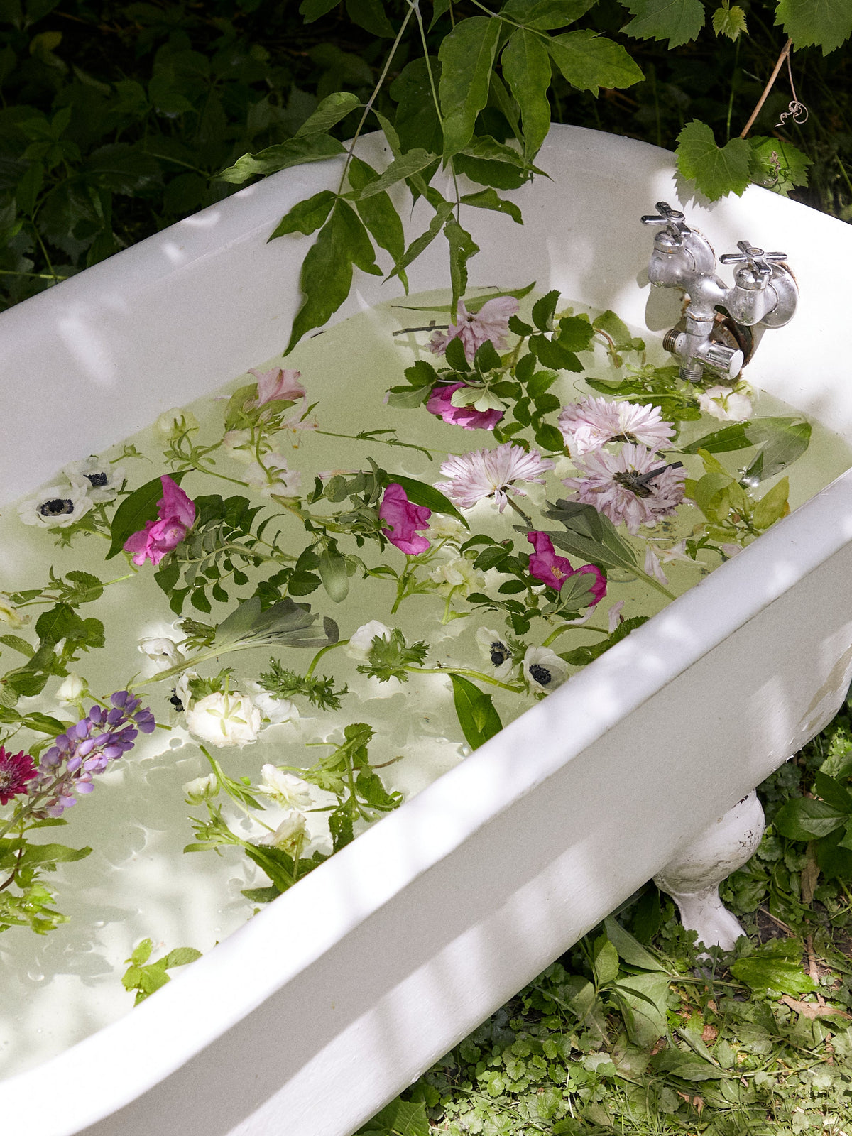 Baignoire sur pattes installée dehors, remplie d'eau et de fleurs
