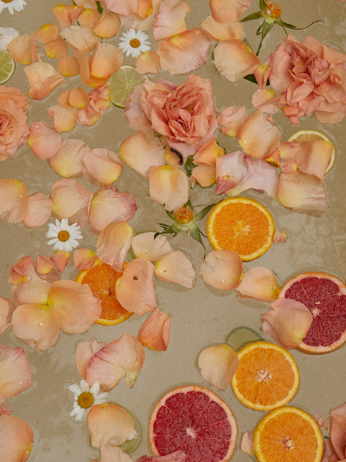 Pétales de rose et tranches d'agrumes à la surface d'un bain