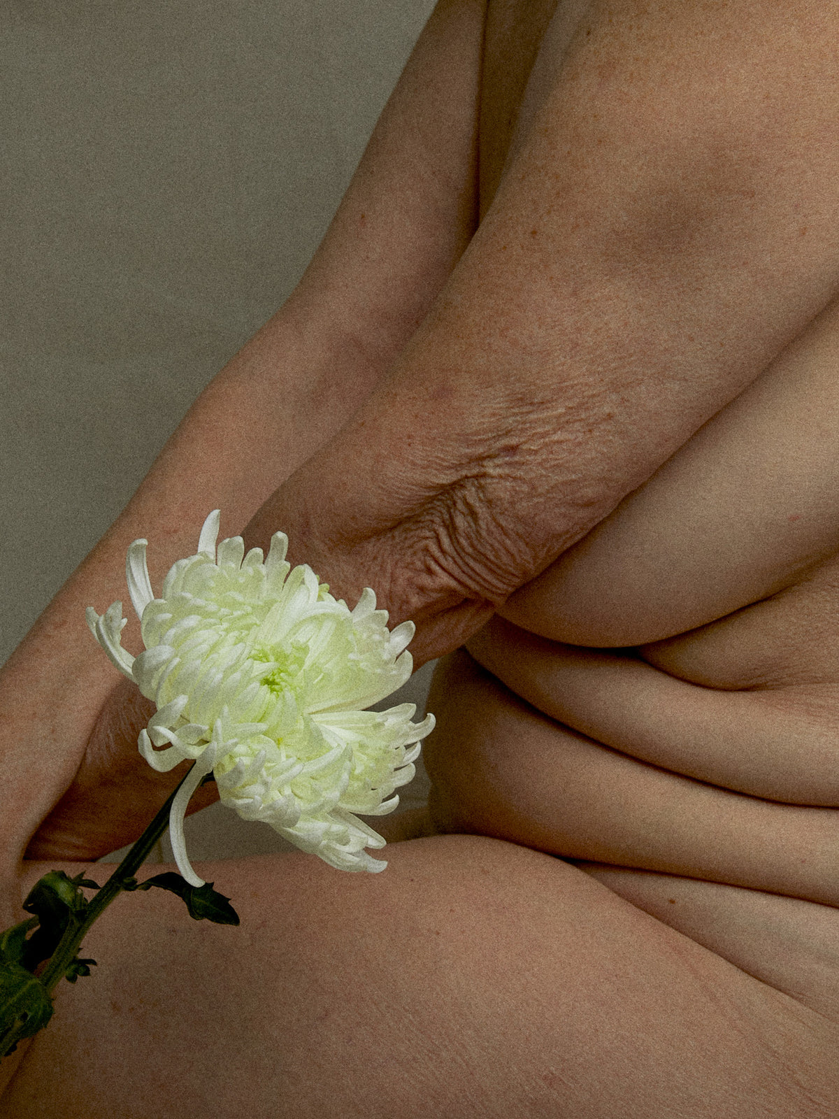 Corps d’une femme mature tenant une fleur blanche contre sa peau