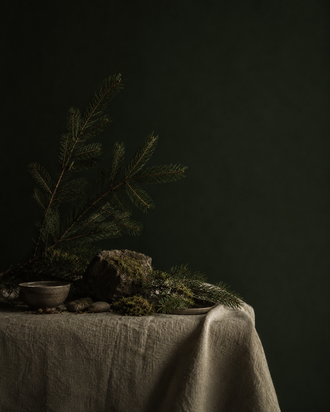 Tapis de mousse verte et de fougères sur le sol d'une forêt humide