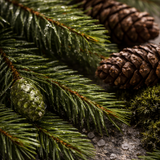 Candle - Lueur Boreal