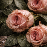 Huile botanique bain et corps Rituel Quartz Peau saine • Rose • Apaisement