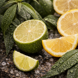 Eau de maison Verbena Verveine • Agrumes • Éveil