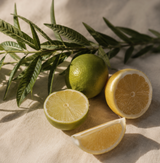 Chandelle - Lueur Verbena Verveine • Agrumes • Éveil