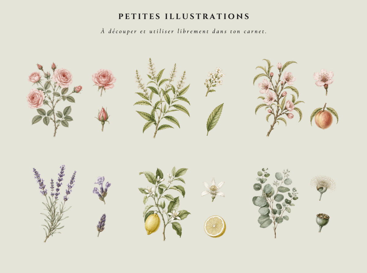 LES CARNETS DE LA MAISON — VOLUME I, photo 5
