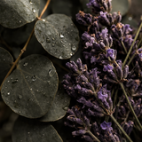 Savon pour les mains Rituel Nordique Relaxation profonde • Eucalyptus • Lavande