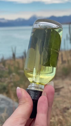 Huile botanique Nordique tenue à la main devant un champ d'herbes dorées et un lac : affiche de la vidéo de la fiche produit.